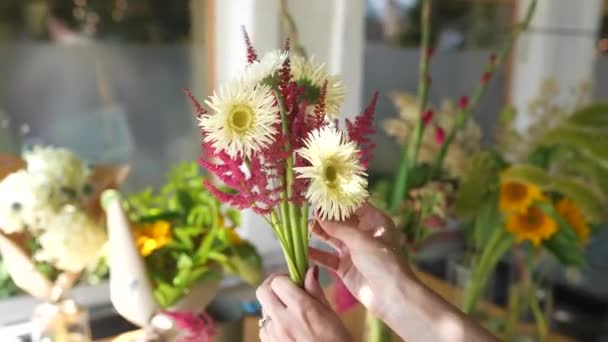 Florist Woman Makes Bouquet Fresh Wildflowers Close View — Stok Video