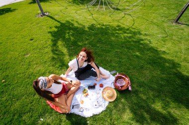 Two women having picnic together, sitting on the plaid on the lawn