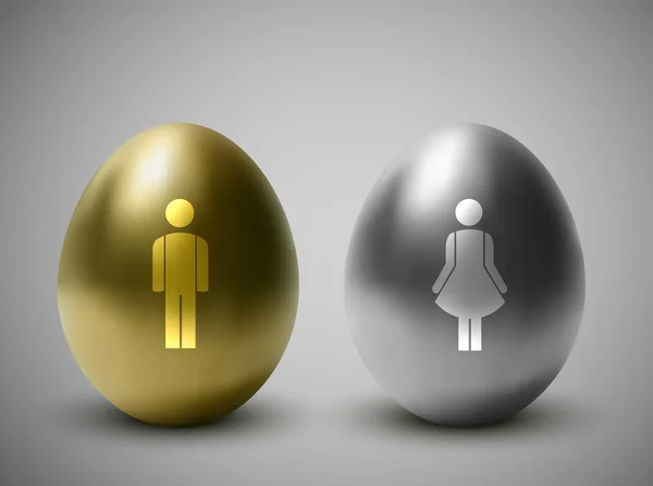 Ovos de ouro e prata com sinais masculinos e femininos — Vetor de Stock