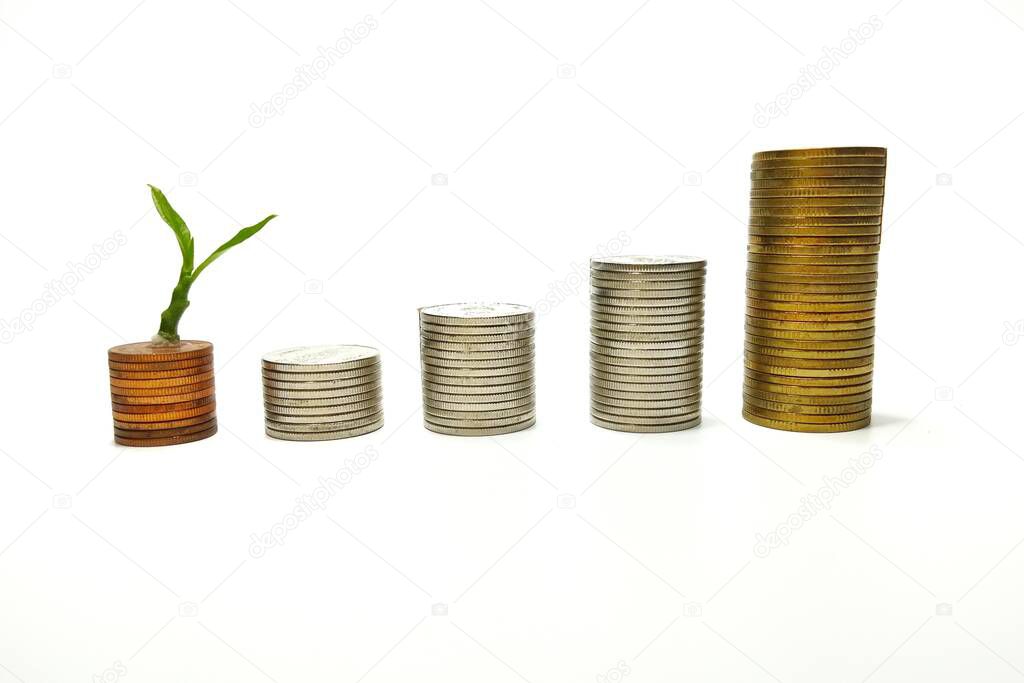 The silver and gold coins are stacked, and the green seedlings are booming. White background gives ideas for business growth, finance, savings, interest, feel wealth in life.