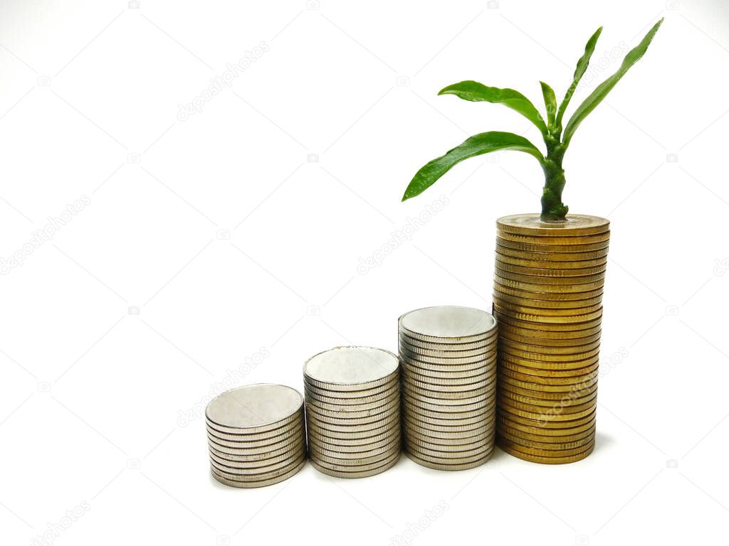 The silver and gold coins are stacked, and the green seedlings are booming. White background gives ideas for business growth, finance, savings, interest, feel wealth in life.