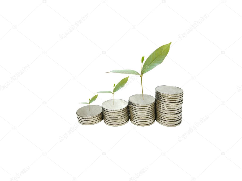 money tree on an isolated white background Gives the idea of borrowing money. The more you borrow, the lower the interest rate. feel happy