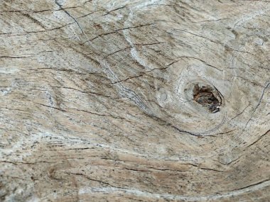 Açık kahverengi ahşap desenli arka plan duvar kağıdı. Çok eski bir bağbozumu durumu var..