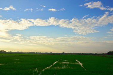 Manzara, mavi gökyüzü, yeşil alanlar, sabahın erken saatleri konsepti. Arkaplan ve duvar kağıtları tasarlamak için kullan.