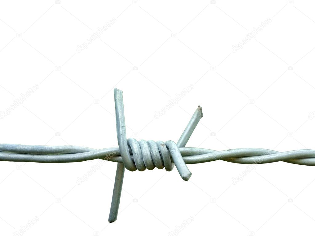 Barbed Wire Iron Gray Isolated White Background