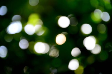 Bokeh Soyut Görüntü Görüntü Arkaplan Yeşil Doğa Ormanı Arka plan ve duvar kağıtları tasarlamak için kullanılır.