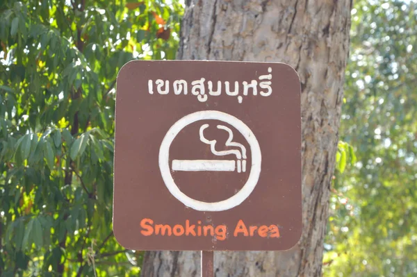 Sigara içme alanı yeşil ağaçlar ve orman arka planı. Kavram. Orman yakınlarındaki sigara içme alanlarının karbondioksit ve sera gazı emisyonlarının azaltılmasına yardımcı olması.