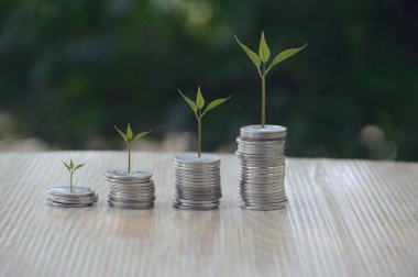 Yeşil ağaçlarla büyüyen bozuk paralar. Parasal büyüme fikirleri.