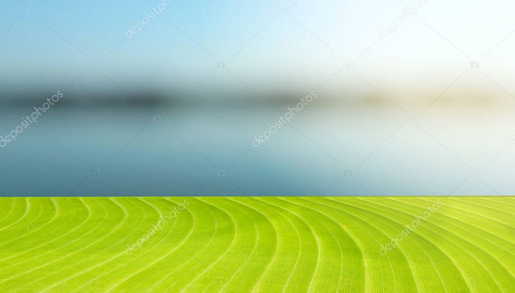 Green banana leaf shelf, blurred background, used to place products for counter sales