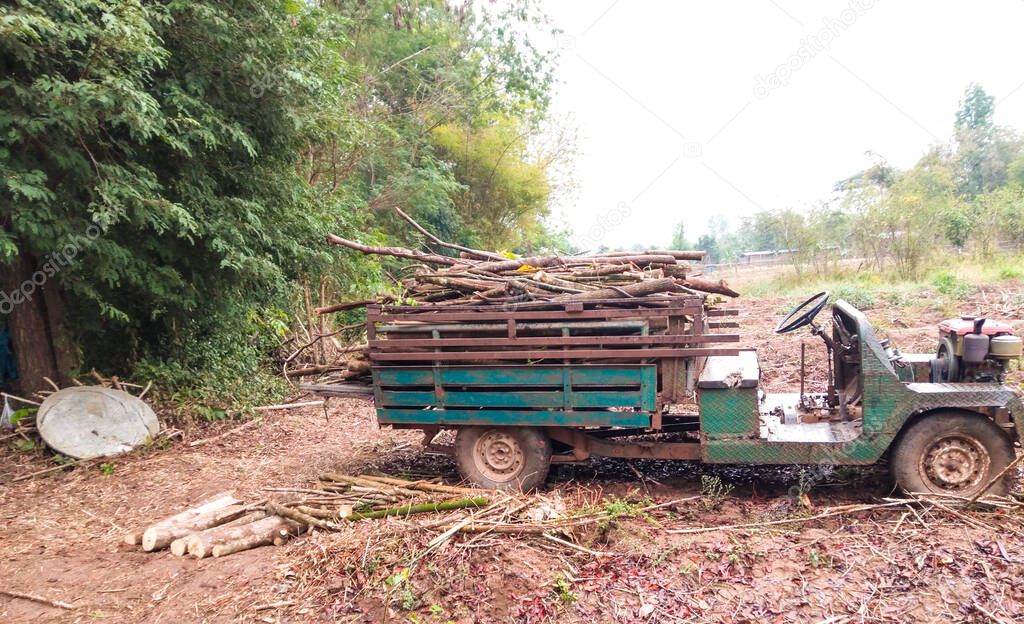 Green modified truck loaded with wood concept. Agricultural vehicle.