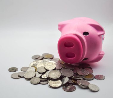 Pembe domuz para yığını üzerinde yatıyor beyaz arka plan konsept banka hesabı banka hesabı hesapları ekonomi emekliliği