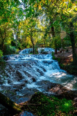İspanya 'nın Nuevalos kentindeki Piedra Manastırı. Büyülü şelalelerle dolu yüz yıllık bir orman.