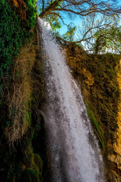 Parque Monasterio Piedra Nuevalos Espanha Uma Floresta Cem Anos Cheia — Fotografia de Stock