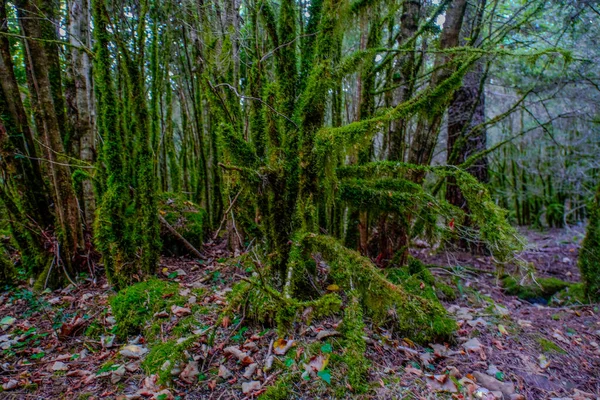 Parque Nacional Ordesa Monte Perdido Nos Pirinéus Espanhóis Com Espetaculares — Fotografia de Stock