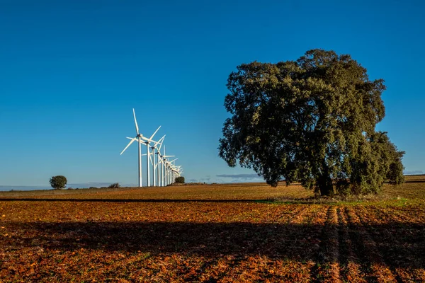 Větrné Mlýny Úsvitu Větrné Farmě Cuesta Colorada Tebaru Lamancha Španělsko — Stock fotografie