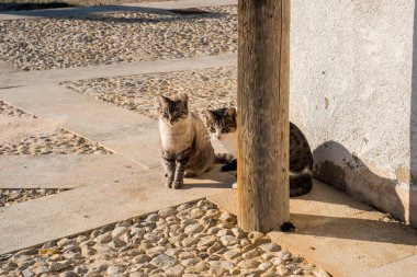 Tabarca adasındaki eski kasabanın sokakları, İspanyol Akdeniz 'inde, Santa Pola' nın önünde, Alicante