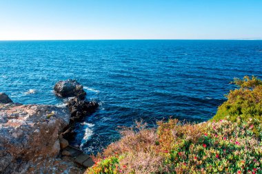 Tabarca antik adasının kayalık kıyılarında, İspanyol Akdeniz 'inde, Santa Pola' nın önünde, Alicante