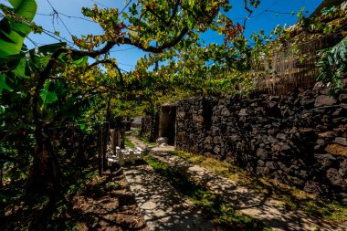 La Faja dos Padres, uçurumla deniz arasında uzanan ve teleferik ile ulaşılabilen çok güzel bir tarım arazisi.