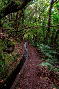 Levada do Ribera del Janela, Madeira 'da.