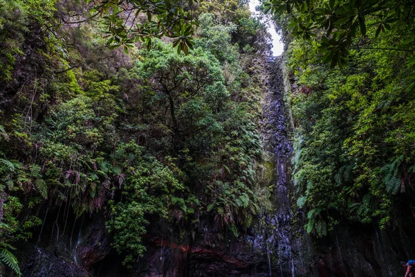 Waschen Der Quellen Der Nähe Von Paul Serra Auf Madeira — Stockfoto
