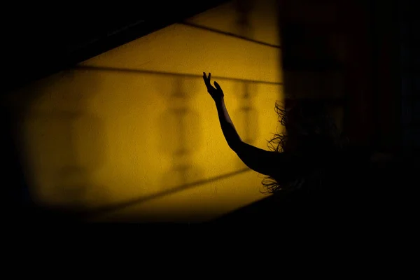 Shadow of a woman, in despair, with one arm up, trapped holding a window. Mystery night scene.
