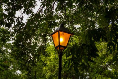 Arka planda ağaç dalları olan bir sokak lambasından lamba yanıyor..