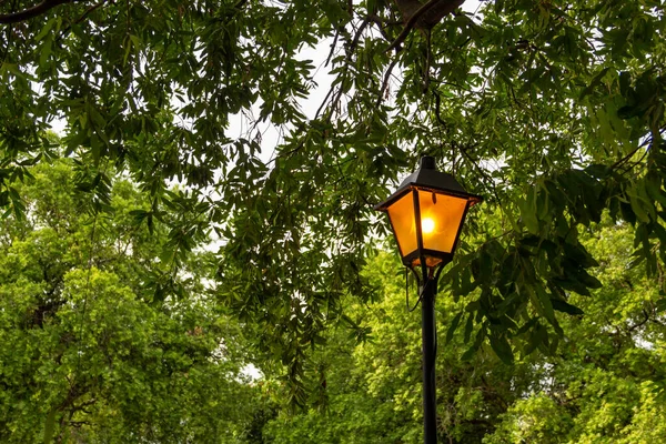 Lámpara Encendida Desde Una Farola Con Ramas Árbol Fondo —  Fotos de Stock