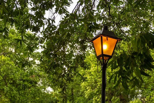 Lámpara Encendida Desde Una Farola Con Ramas Árbol Fondo —  Fotos de Stock