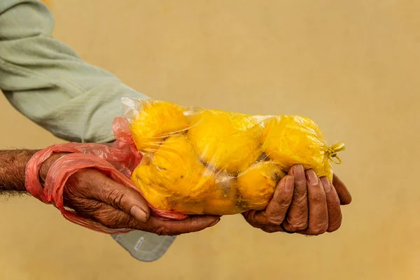 Πωλητής Χέρια Συσκευασμένο Πακέτο Pequi Πουλήσει Pequi Είναι Ένα Τυπικό — Φωτογραφία Αρχείου