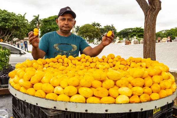 Säljare Med Pequi Står Gatan Pequi Typisk Frukt Från Den — Stockfoto