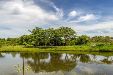  Leoldio di Ramos Caiado Parkı. Goias 'taki Goiania şehrinde bir halk parkı..