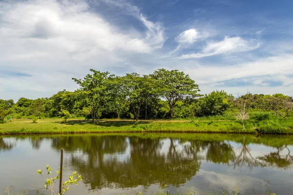 Leoldio Ramos Caiado Park Ein Öffentlicher Park Der Stadt Goiania — Stockfoto