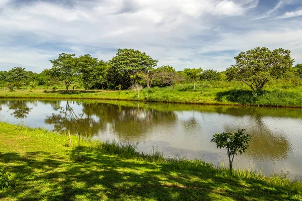 Leoldio Ramos Caiado Park Ein Öffentlicher Park Der Stadt Goiania — Stockfoto