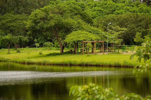 Leoldio Ramos Caiado Park Ein Öffentlicher Park Der Stadt Goiania — Stockfoto