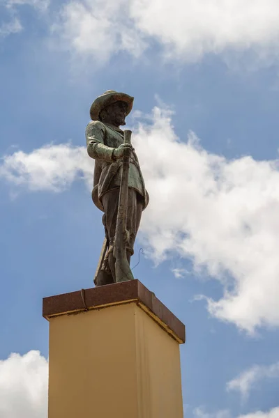 Foto Der Statue Die Mitten Auf Dem Bandeirante Platz Goiania — Stockfoto