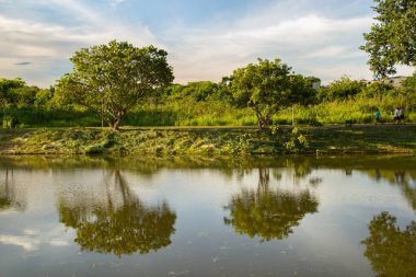  Goiania şehrindeki Leoldio di Ramos Caiado Parkı 'nın öğleden sonra manzarası..