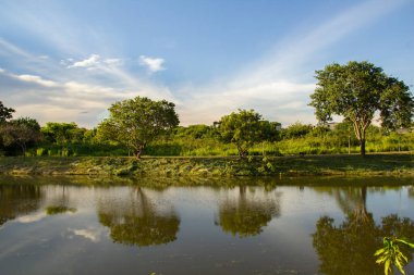  Goiania şehrindeki Leoldio di Ramos Caiado Parkı 'nın öğleden sonra manzarası..