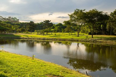  Goiania şehrindeki Leoldio di Ramos Caiado Parkı 'nın öğleden sonra manzarası..
