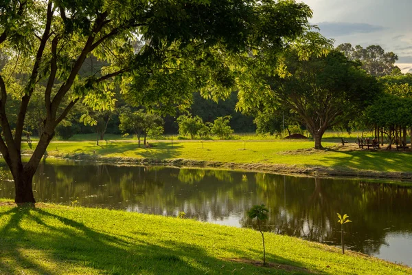 stock image  A late afternoon view of the Leoldio di Ramos Caiado Park in the city of Goiania.