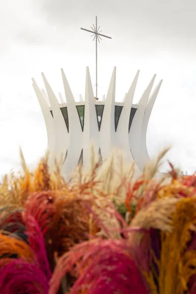 Detail Top Metropolitan Cathedral Braslia Cloudy Sky Background Dry Flowers - Stock-foto