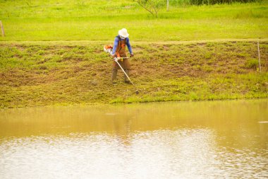 Uygun ekipmanlarla gölün kenarında çim biçen bir işçi..