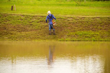 Uygun ekipmanlarla gölün kenarında çim biçen bir işçi..