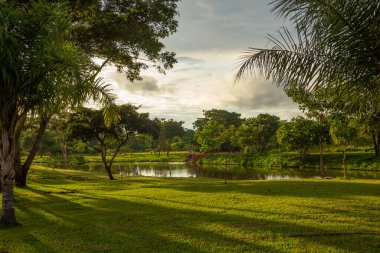 Landscape of one of the views of the lake of Parque Leoldio di Ramos Caiado at dusk.