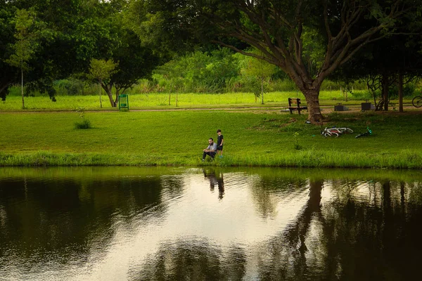 Adult Man Child Fishing Edge Lake Shade Leafy Tree — Stok fotoğraf