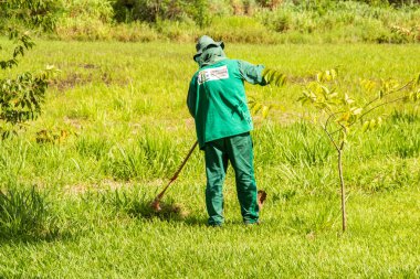 Belediye binasında halka açık bir parkta bahçe bakımı yapan bir profesyonel. Çimleri buduyorum..