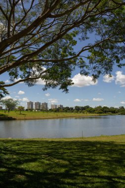 Goiania şehrinde çok ormanlık bir park ve bir göl manzarası. Leolidio di Ramos Caiado Parkı.