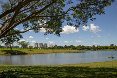 Goiania şehrinde çok ormanlık bir park ve bir göl manzarası. Leolidio di Ramos Caiado Parkı.