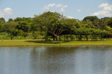 Goiania şehrinde çok ormanlık bir park ve bir göl manzarası. Leolidio di Ramos Caiado Parkı.