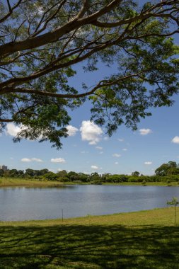 Goiania şehrinde çok ormanlık bir park ve bir göl manzarası. Leolidio di Ramos Caiado Parkı.