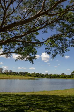 Goiania şehrinde çok ormanlık bir park ve bir göl manzarası. Leolidio di Ramos Caiado Parkı.